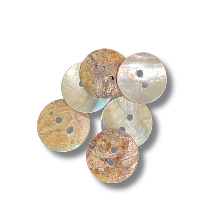 Abalone Shell Buttons