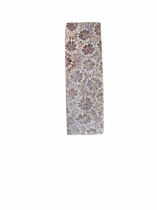 Fossil coral long rectangle cabochon