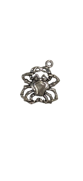 Sterling Silver Charm, Cancer 3D