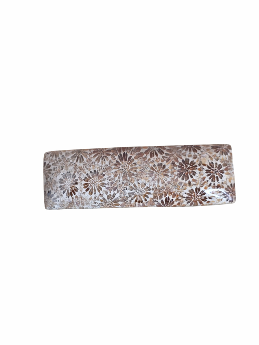 Fossil coral long rectangle cabochon