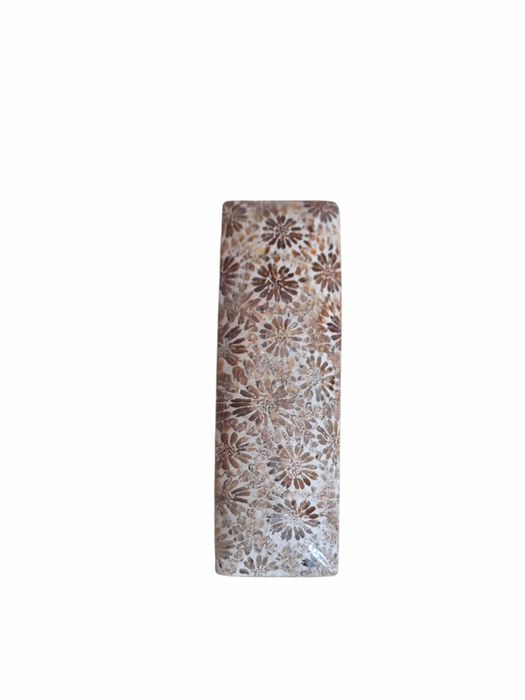 Fossil coral long rectangle cabochon