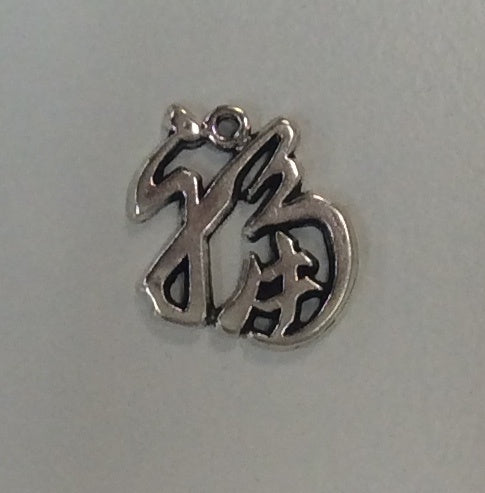 Sterling Silver Charm, Chinese Good Luck Character