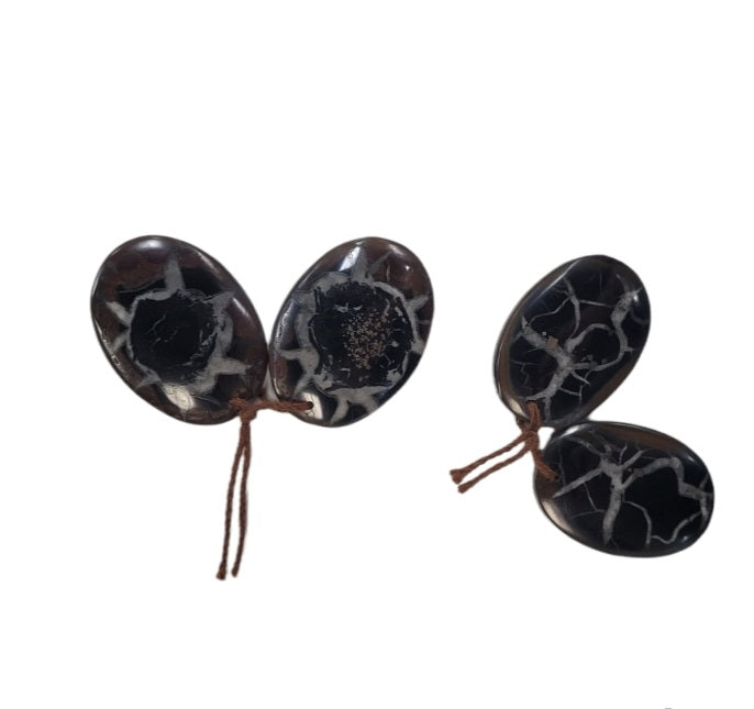 Freeform Septarian Fossil Earring Pair