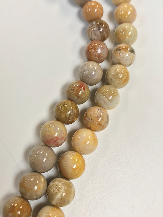 Indonesian Fossil Coral 8mm Round Beads 16" Strand approx